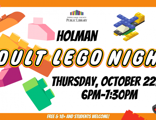 Adult Lego Night