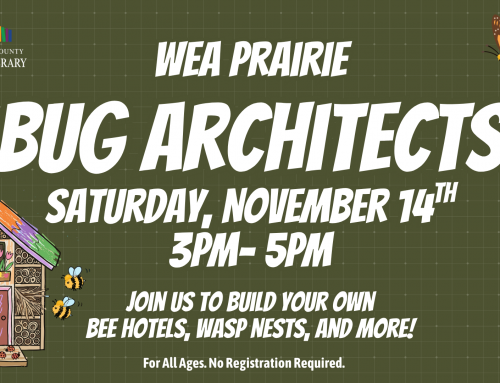 Bug Architects